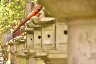 DSC_3839 (Large).JPG